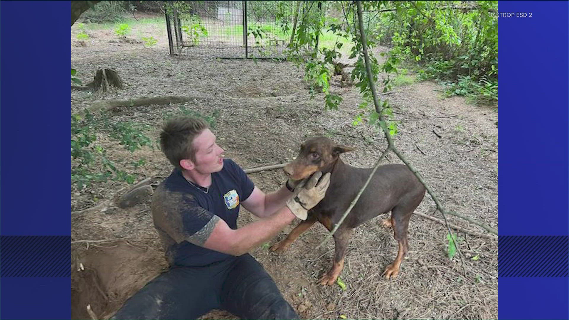 Officials in Bastrop and Cedar Park helped some dogs over the weekend.