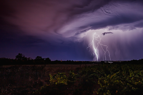 Gates of Olympus tragamonedas — Pragmatic Play